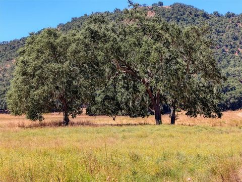 Tiny photo for 5720 Huasna Townsite Road, Arroyo Grande, CA 93420 (MLS # PI24146848)