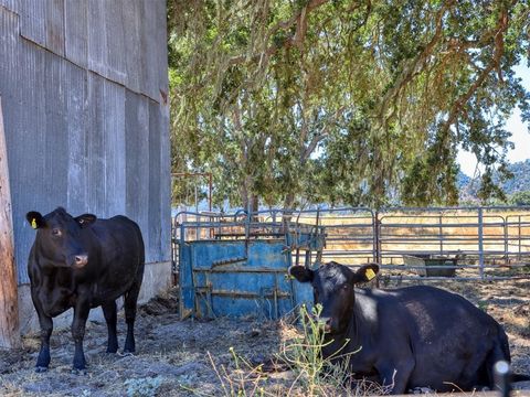 Tiny photo for 5720 Huasna Townsite Road, Arroyo Grande, CA 93420 (MLS # PI24146848)