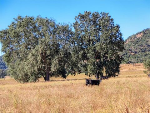 Tiny photo for 5720 Huasna Townsite Road, Arroyo Grande, CA 93420 (MLS # PI24146848)