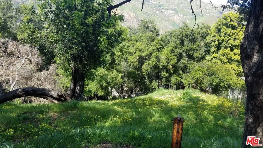 Finally just what you've been looking for!   Beautiful foliage, views and a ready to build Malibu lot.  Utilities nearby.  Plans available to build a 2 bed/ 3 bath home of 1,020 square feet.  Architectural plans available.