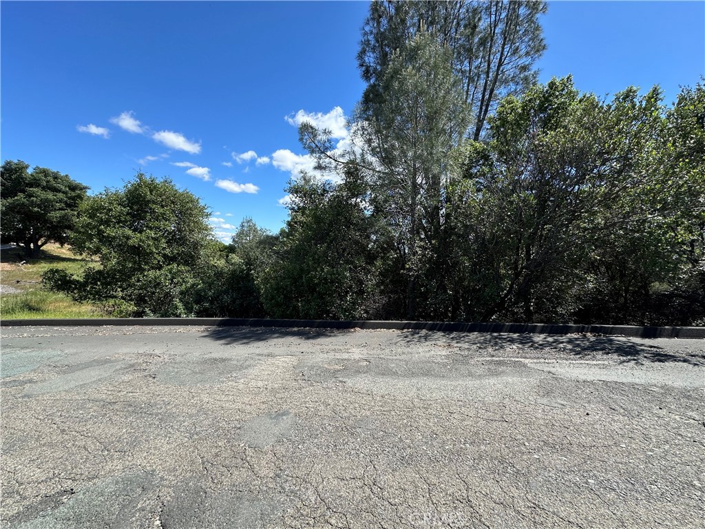 12361 Cerrito