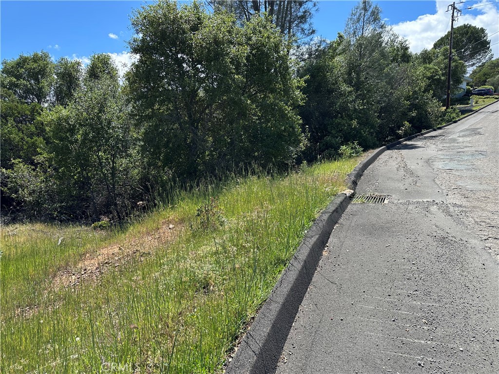 12361 Cerrito