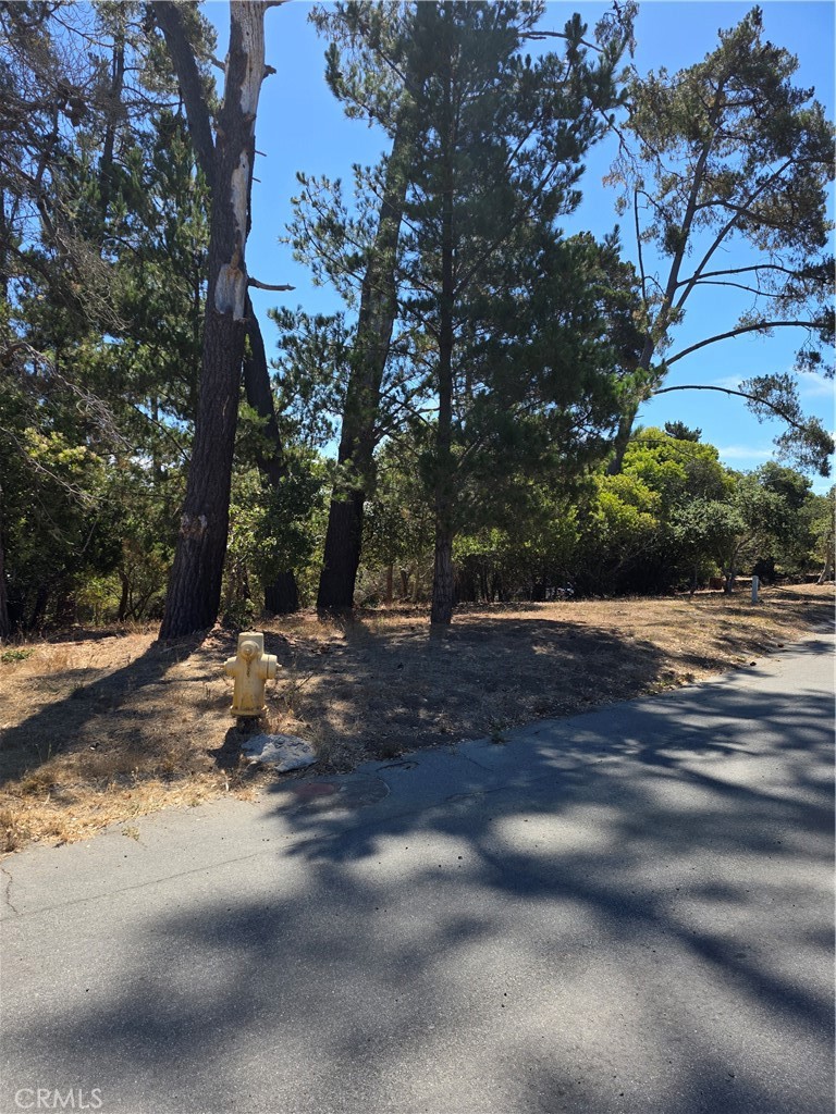 Lodge Hill(430) - Land