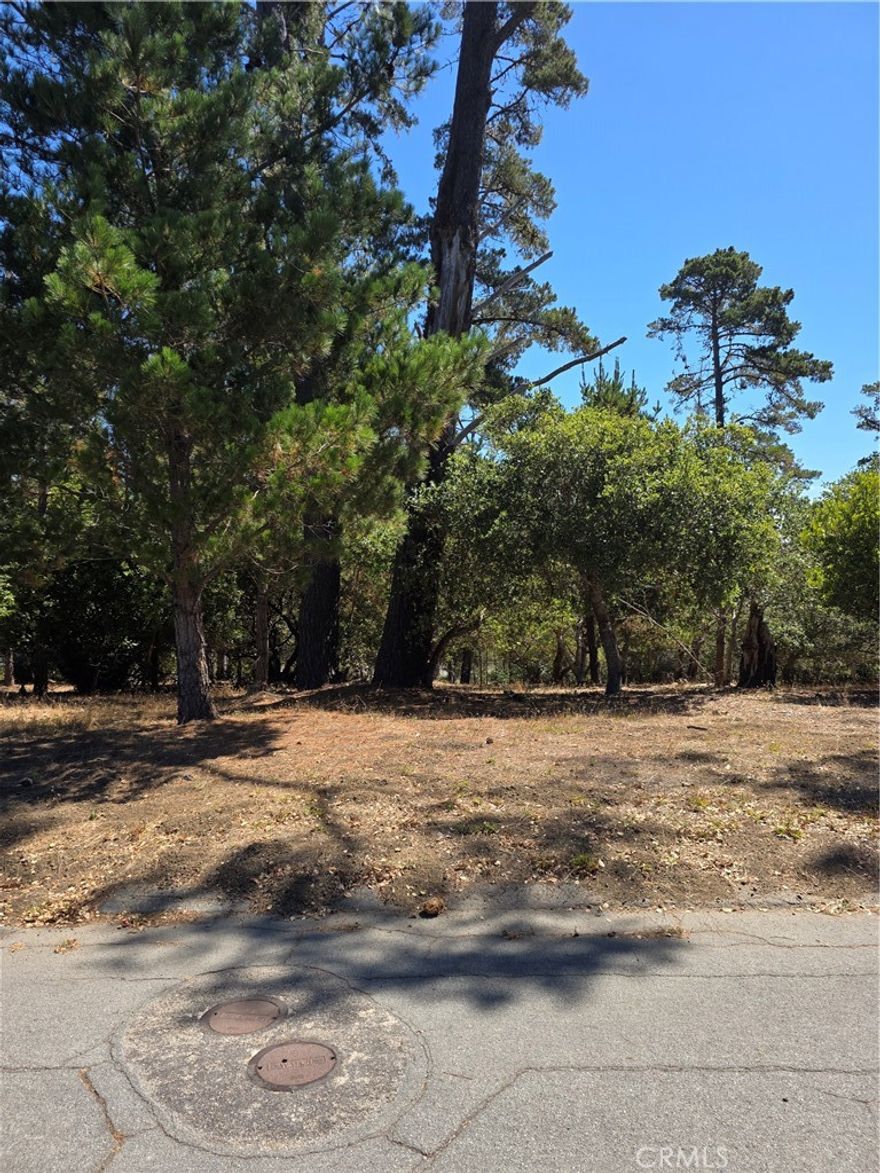 Here's your chance to invest in your future. This parcel has a CCSD water wait list position of #195. Call your agent to find out more details about future development