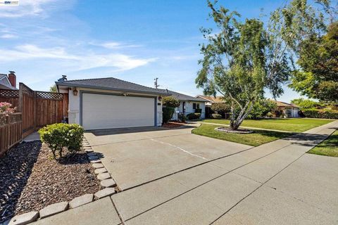 Photo of 5157 Waller Ave, Fremont, CA 94536 (MLS # 41135707)