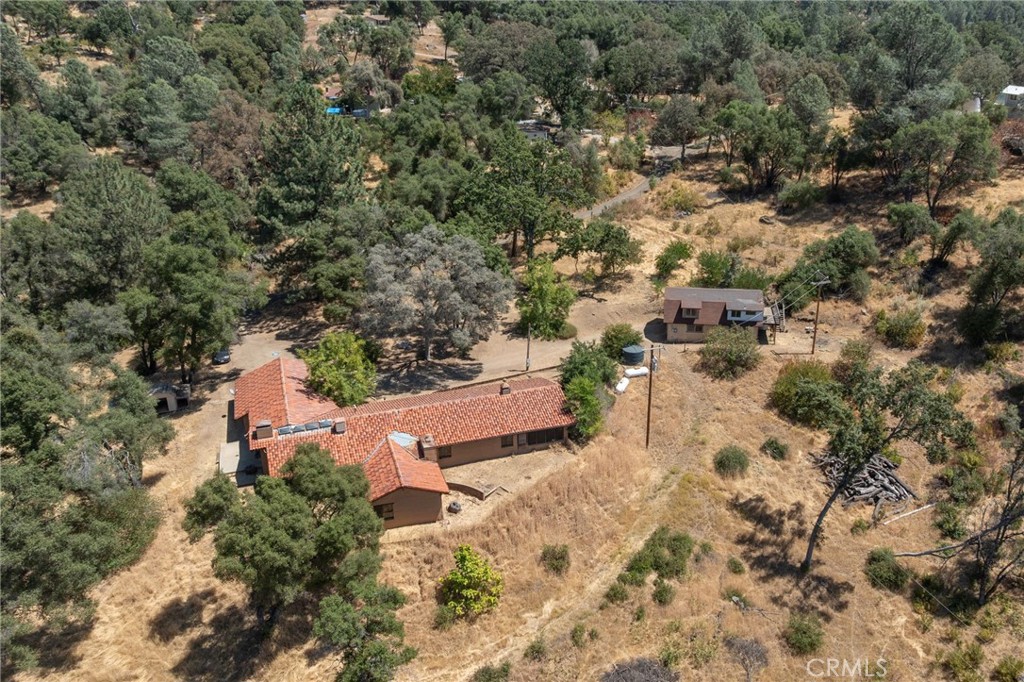 3981 Snow Creek Road