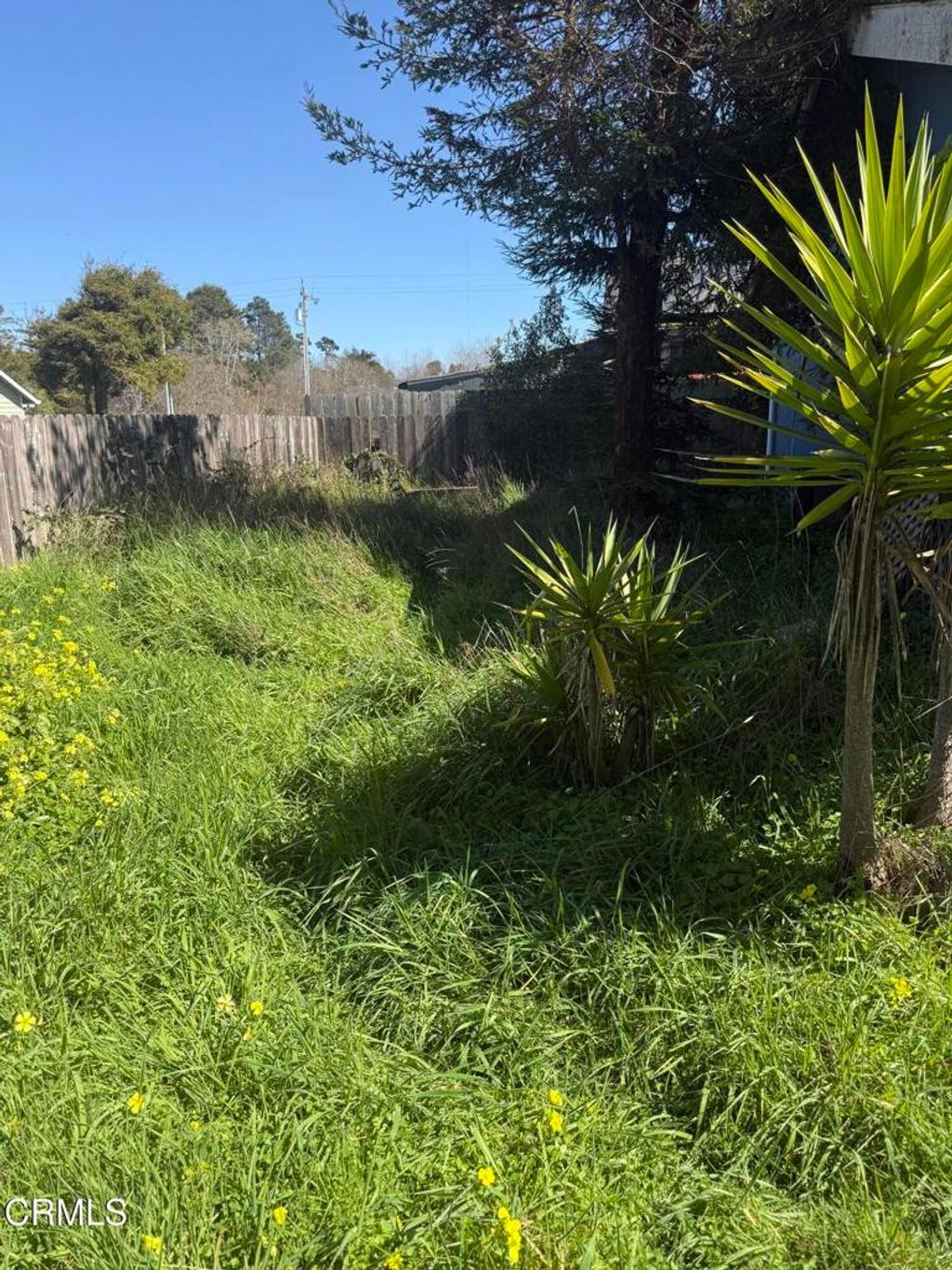 Photo of 1361 E Oak Street, Fort Bragg, CA 95437 (MLS # C1-11297)