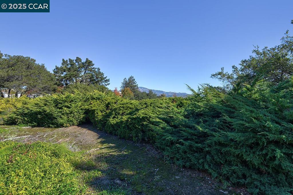 ROSSMOOR - Residential