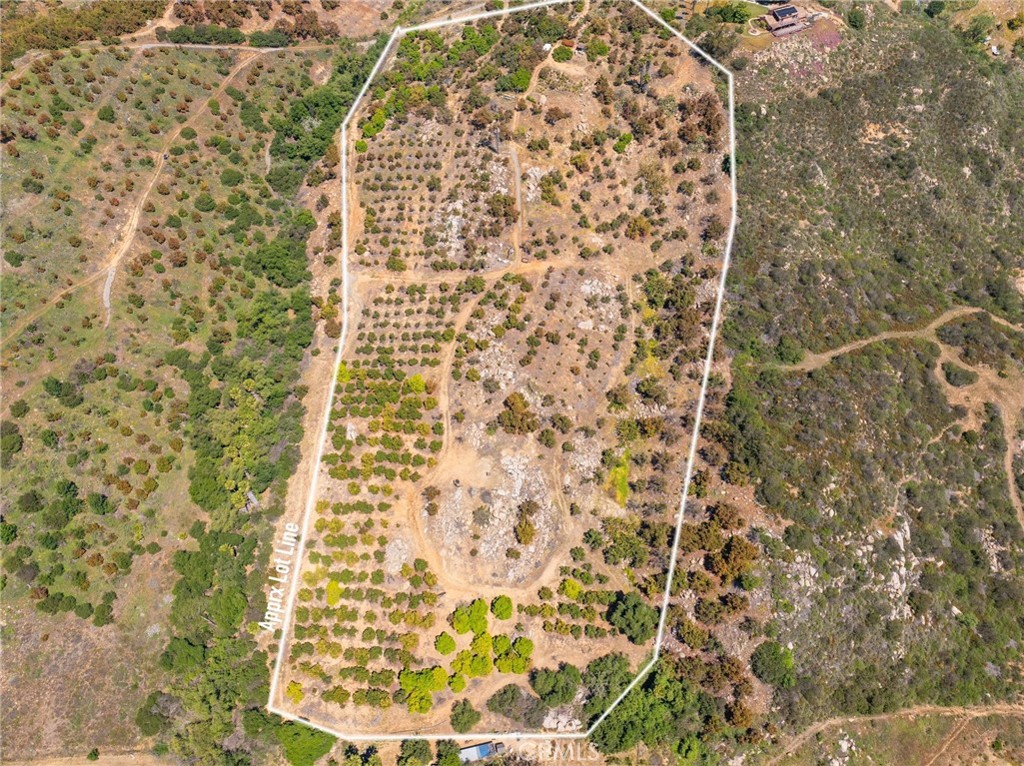 0 Las Palmeras drive