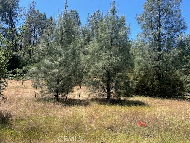 0 Coalinga