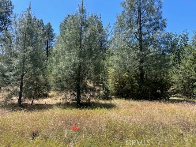 0 Coalinga