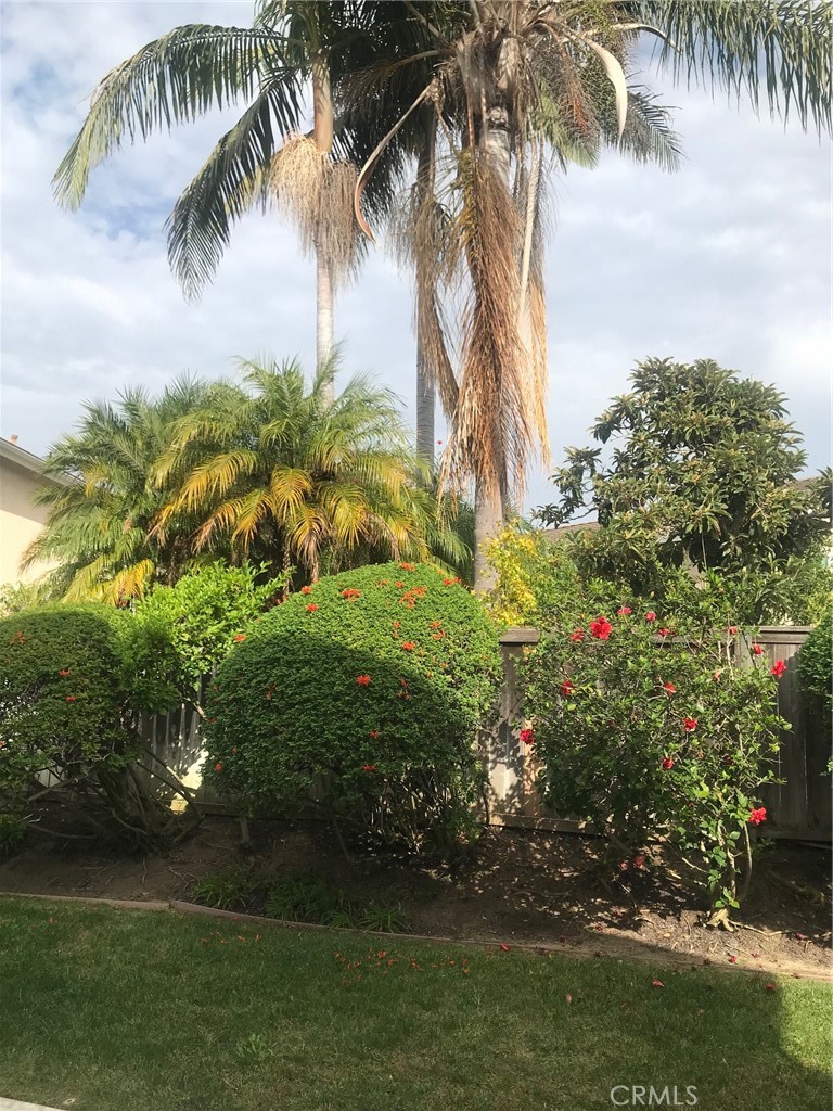 Briarglen (BG) - Residential Lease