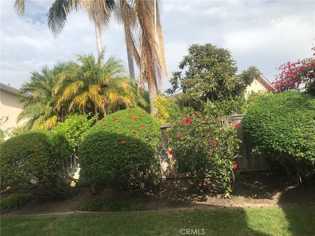 Briarglen (BG) - Residential Lease