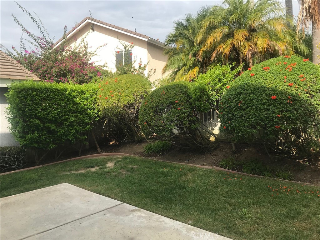 Briarglen (BG) - Residential Lease