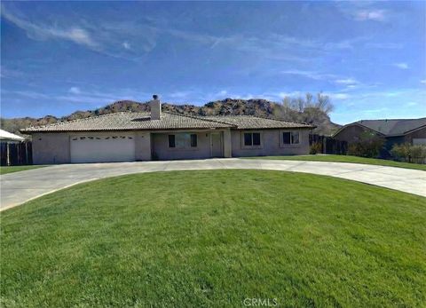 Photo of 17475 Mesquite Rd, Apple Valley, CA 92307 (MLS # HD26046582)
