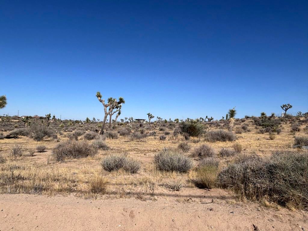 0 Apn#0597-161-03-0000 Sage Avenue