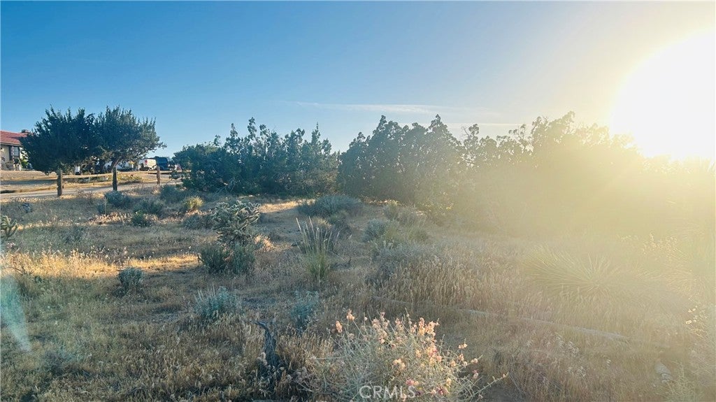 9132 Candlewood Road