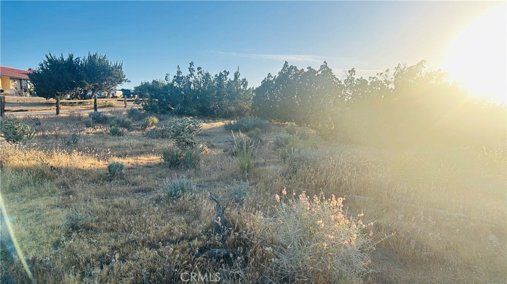 9132 Candlewood Road