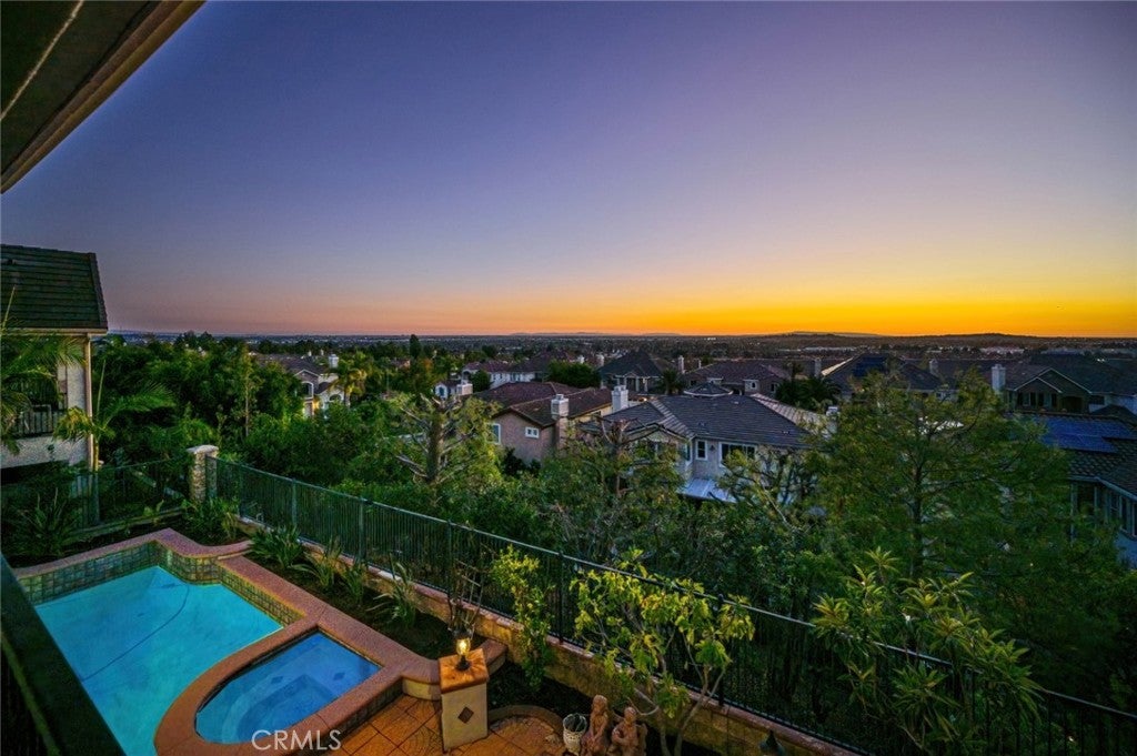 17265 BLUE SPRUCE