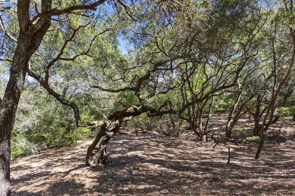 WESTSIDE DANVILL - Residential