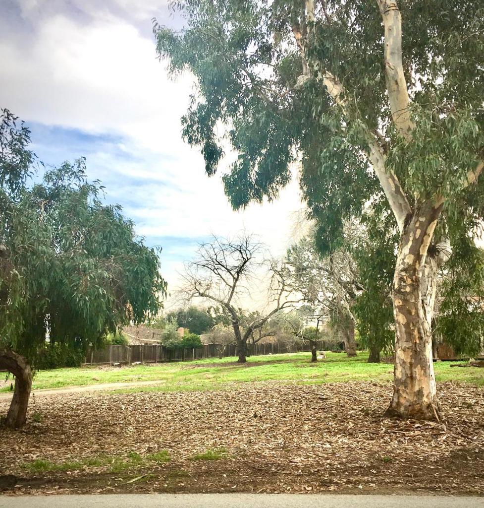 This extremely rare gem in a prime Cupertino location gives an Excellent Opportunity for Developers on one of the last sub-dividable Properties. Two parcels (APNs) combined gives 73,665 sq ft Resolution of Recorded Maps, Buyer to verify Endless opportunities in its very quiet area, Fremont Older Preserve is up the peaceful Regnart canyon rd. giving access to miles of hiking trails, gorgeous views. Close to conveniences, Apple. Easy access to Hwy 85 & 280. Award winning schools, Monta Vista Hi, Kennedy Midd. Years of completed studies/reports: Just shy of Tentative Map, City's Long Range housing supply in the City, to be updated in 2022. State is likely to mandate a high number of housing units needed throughout the City. Staff is looking for underdeveloped properties to supply City with needed housing, mandated from State. City would up-zone and increase densities on certain parcels. These parcels could candidate for higher density.
