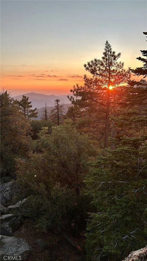 Photo of 15331006 Mountain Meadow Road, Caliente, CA 93518 (MLS # HD25134706)