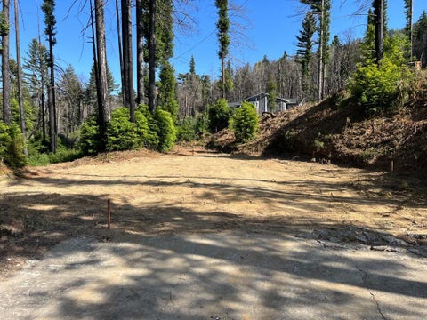 Photo of 135 Fallen Leaf Drive, Boulder Creek, CA 95006 (MLS # ML82050547)