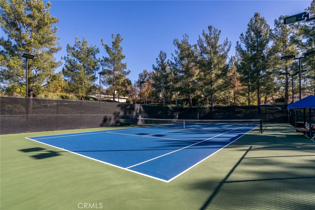 Courthome Collection (CYCO) - Residential