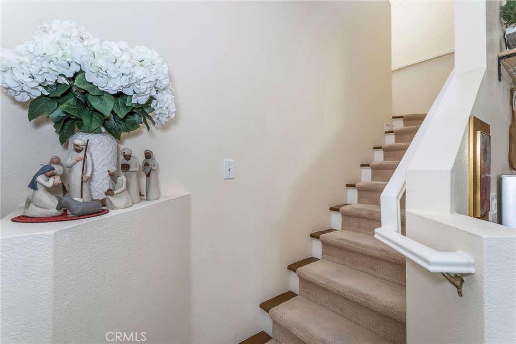 Courthome Collection (CYCO) - Residential