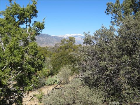 155 Lot #155 Buckthorn Mountain Center CA 92561
