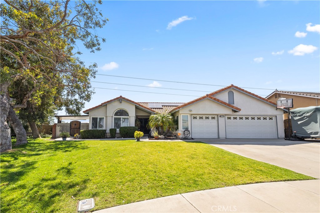 3906 N Flame Tree