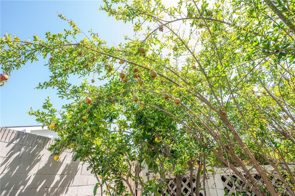 14862 Rattan Street, Irvine CA 92604 - Photo 23
