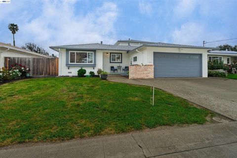 Photo of 41287 Mahoney St St, Fremont, CA 94538 (MLS # 41129474)