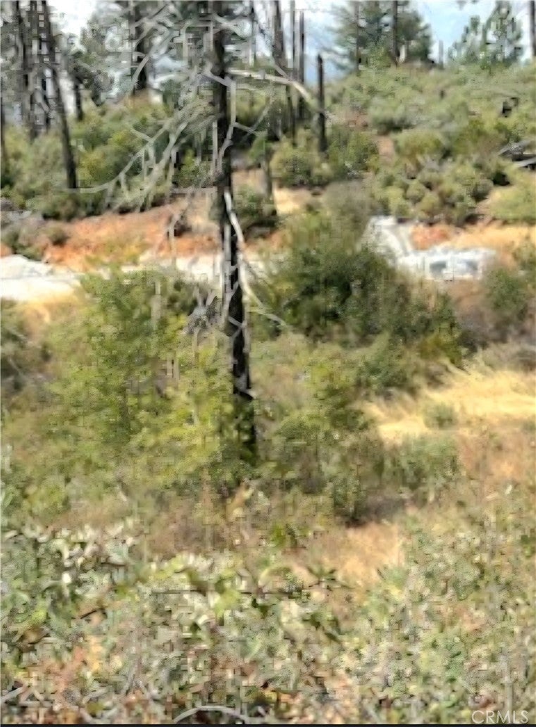 0 Deadwood