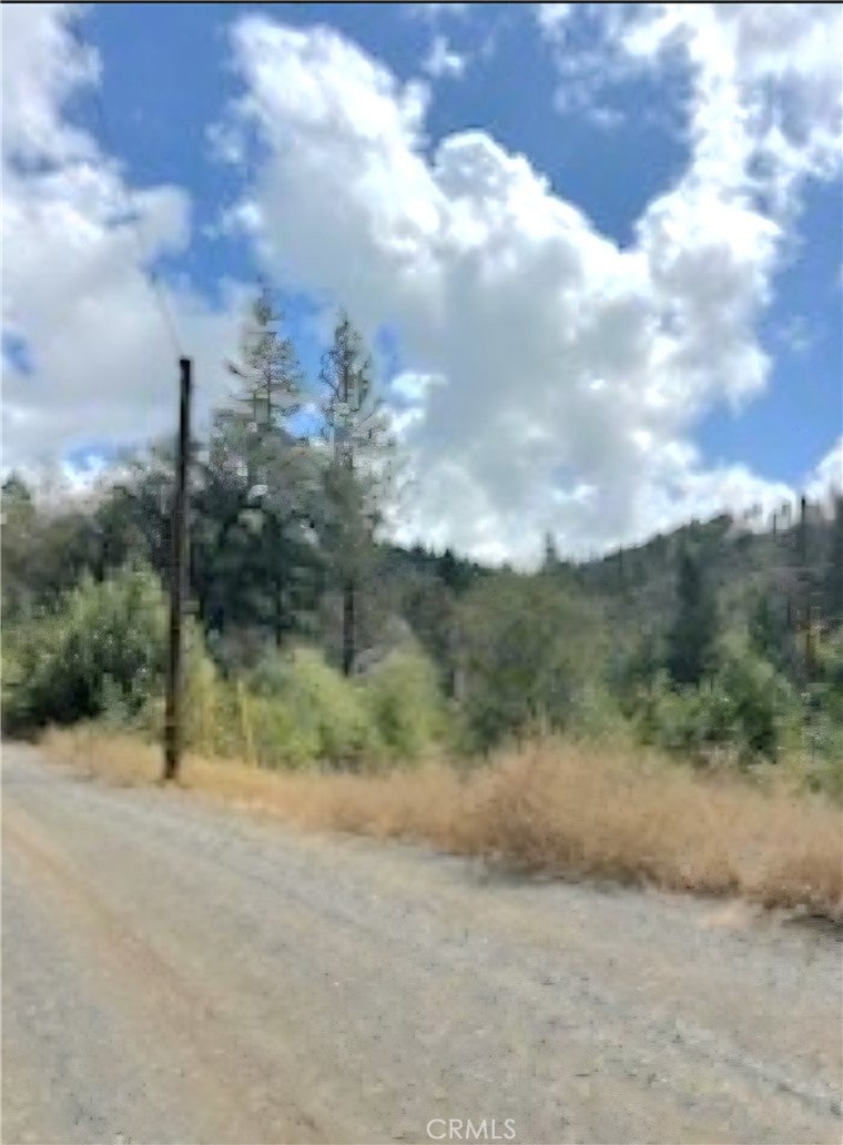 0 Deadwood