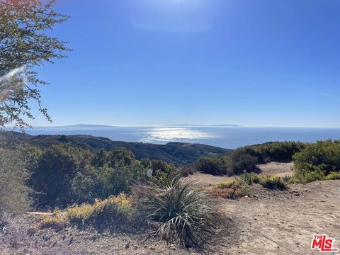 Photo of 2195 Little Las Flores RD, Topanga, CA 90290 (MLS # 26829129)