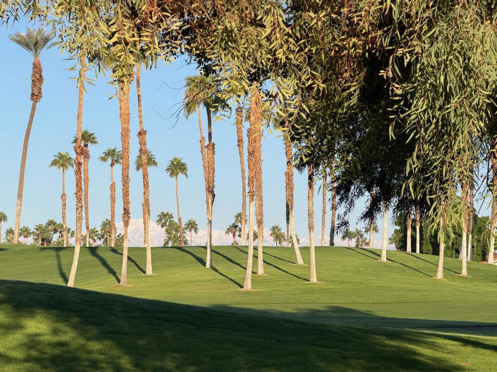 Desert Falls C.C. - Residential Lease