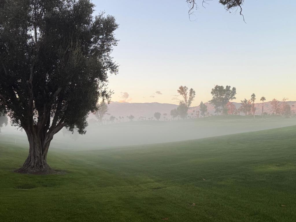 Desert Falls C.C. - Residential Lease