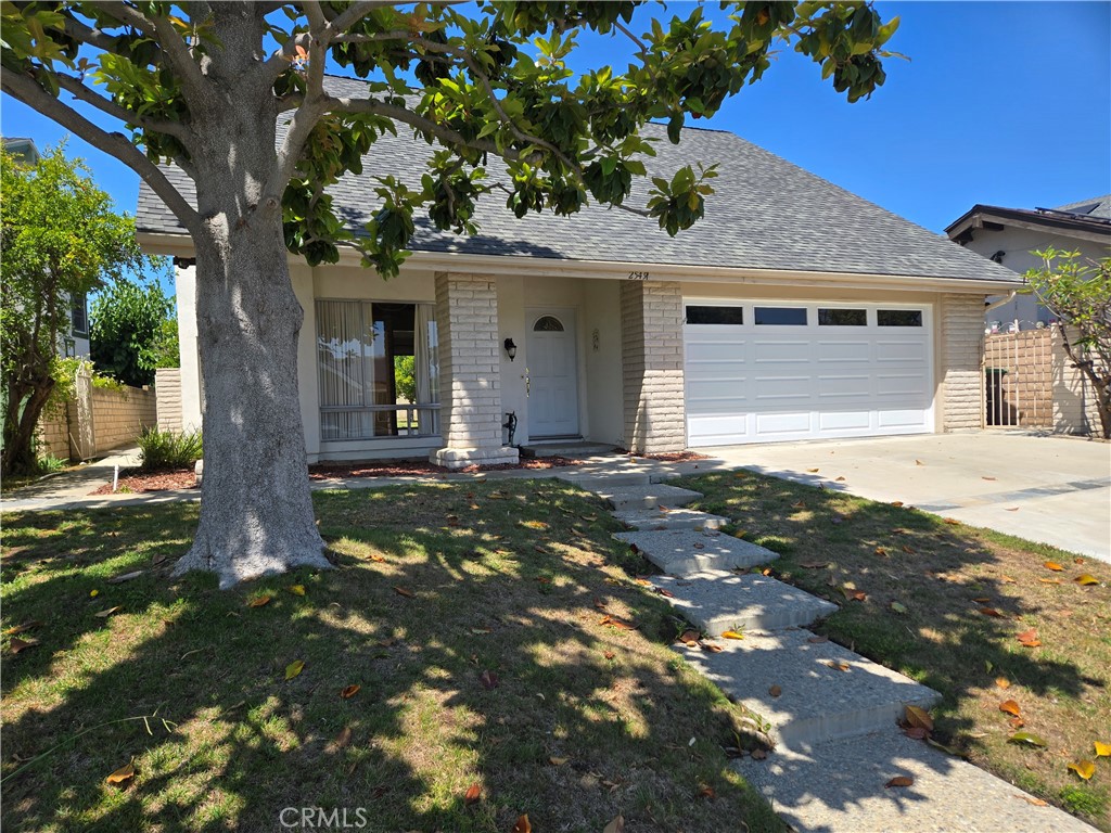 25491 Mcintyre