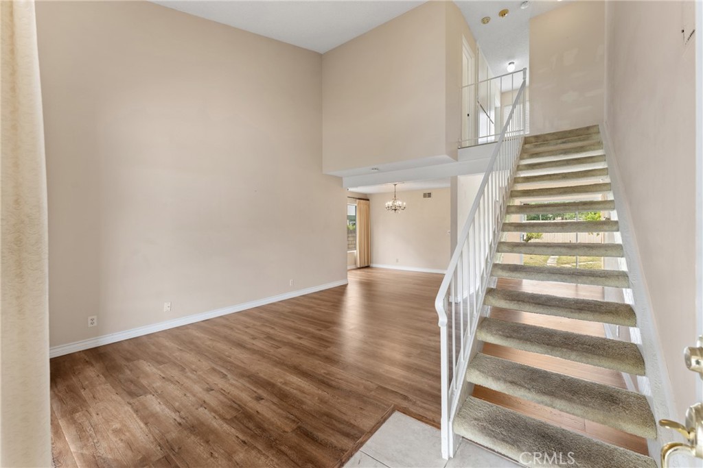 25491 Mcintyre