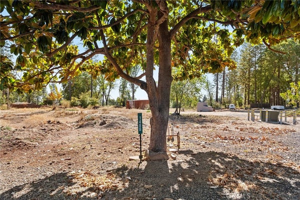 1488 SAINT PETERS CT, PARADISE, CA 95969 - Image 4a73eeb01dafe7ae407791cdc2d5c27e/1815070471