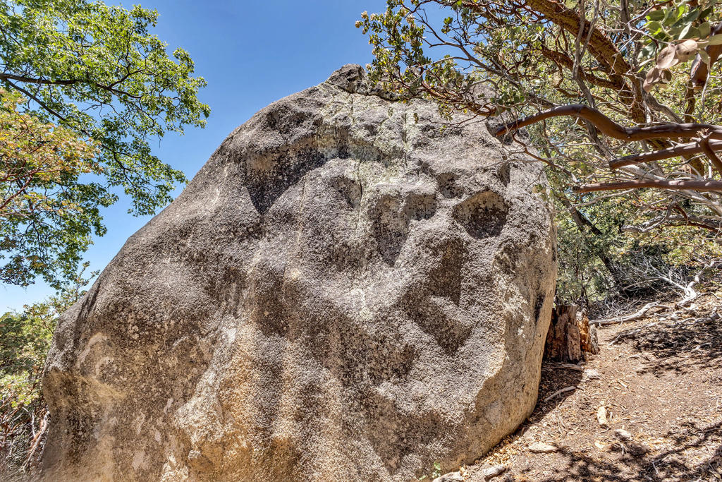 Not Applicable-1 - Land