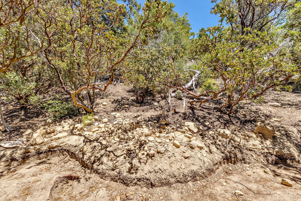 Not Applicable-1 - Land