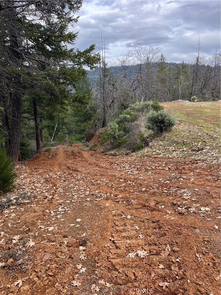 38041 State Highway 3