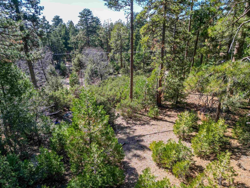 0 Laurel Trail