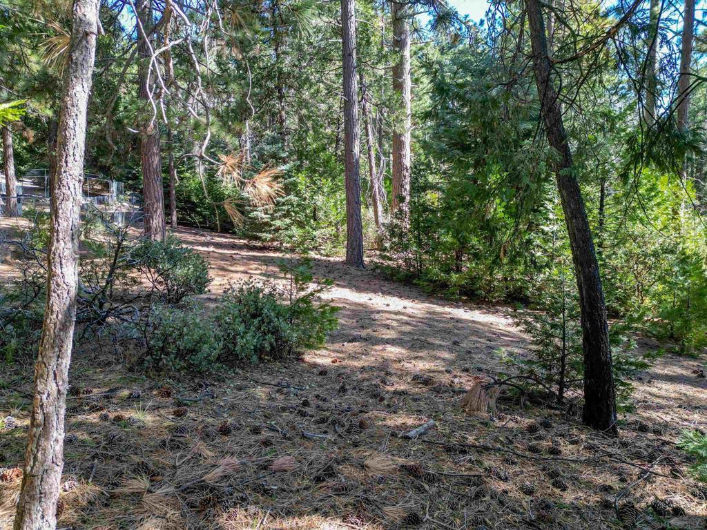 0 Laurel Trail