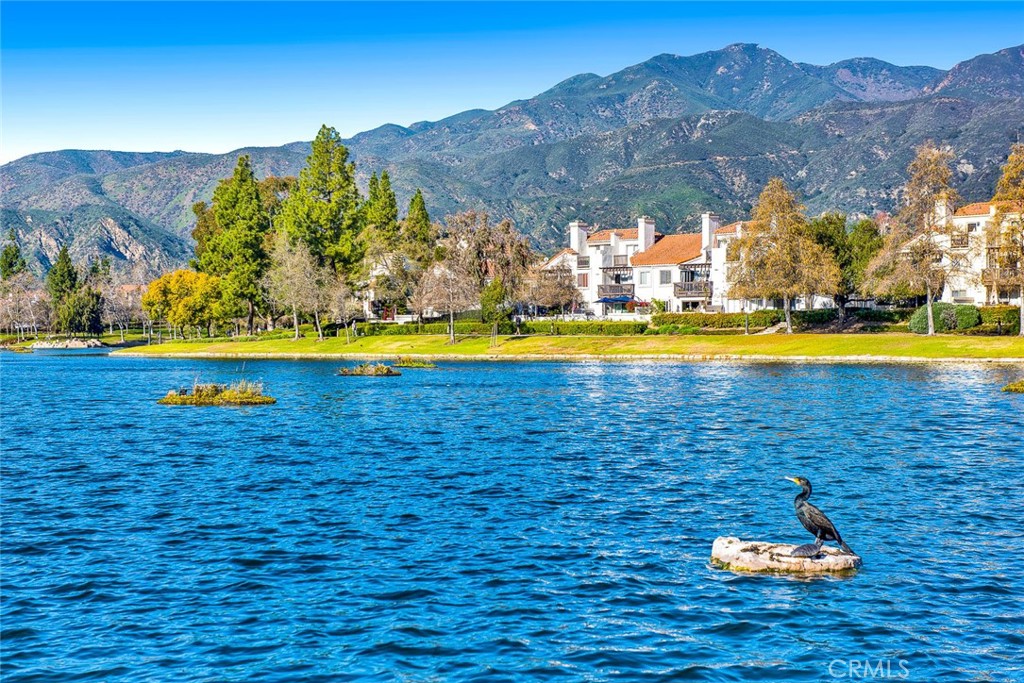 Mission Courts (R1) (MC) - Residential Lease