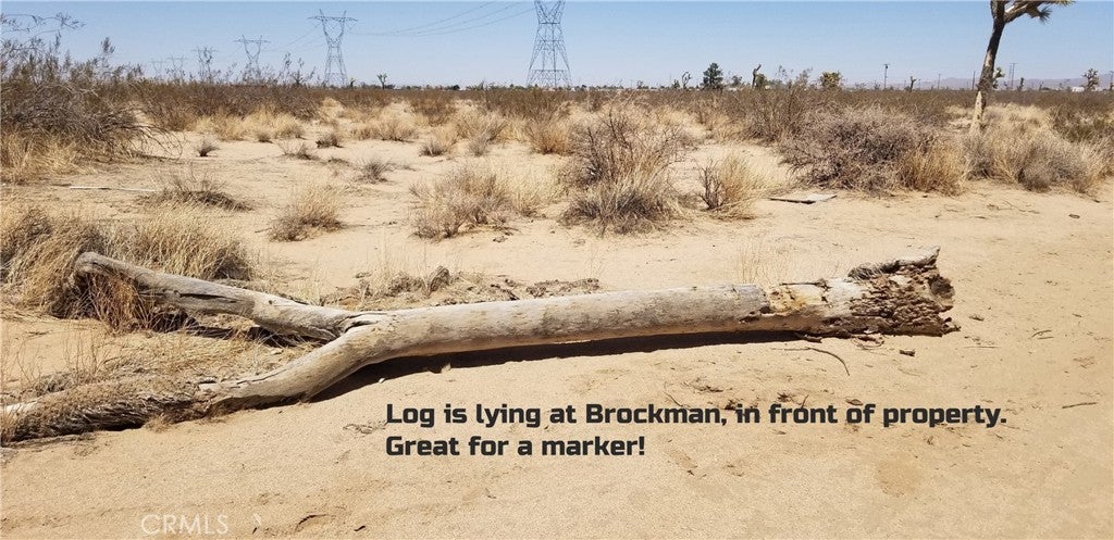 0 Brockman