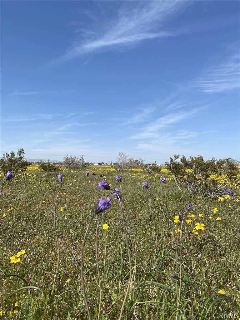0 Vacant Land