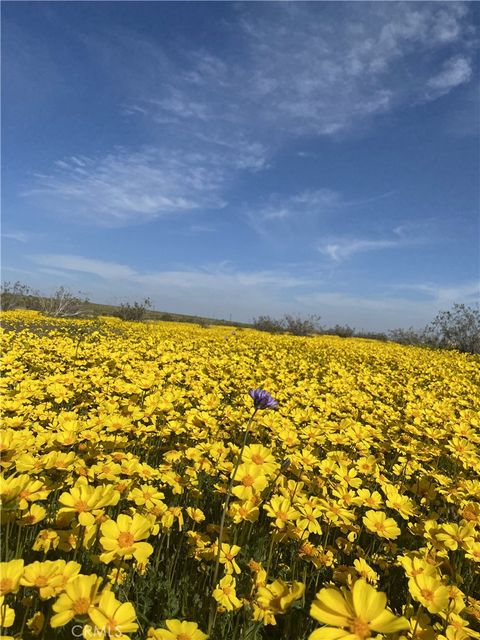Photo of 0 Vacant Land, Mojave, CA 93501 (MLS # SR26095404)
